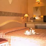 Ariminum Hotel Rimini
