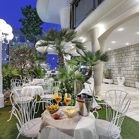Hotel Ariminum 4*