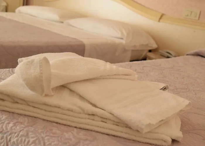 Hotell Ariminum Rimini
