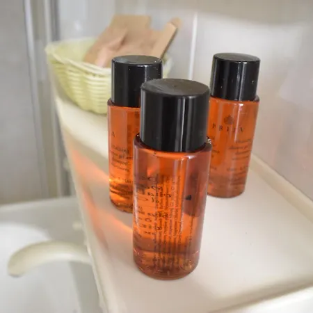 호텔 Ariminum 리미니