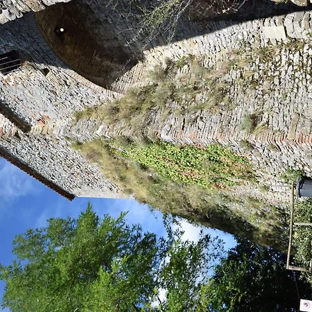 Ariminum 4* ريميني