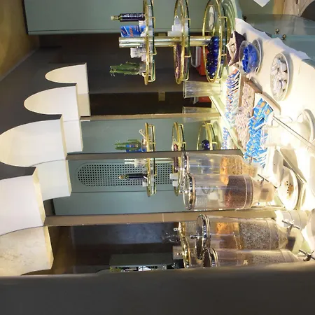 فندق Ariminum 4*