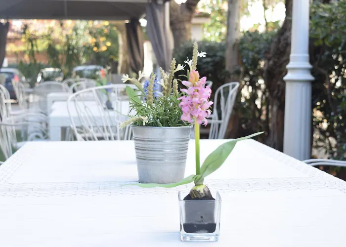 阿里米露酒店 4*