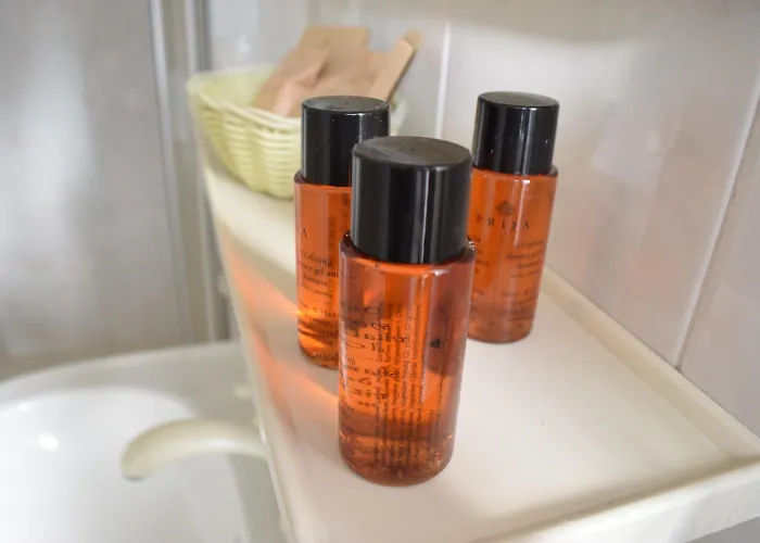 酒店 阿里米露酒店 里米尼