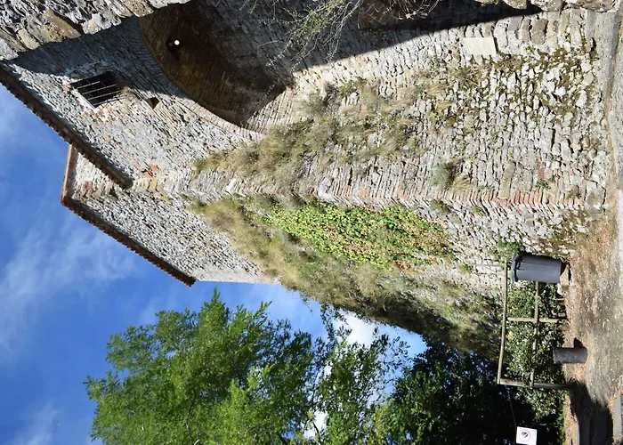 阿里米露酒店 4* 里米尼