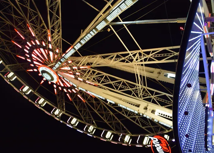 阿里米露酒店 酒店 4*